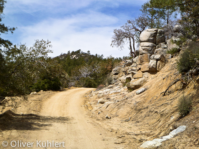 Auf dem Weg nach Crown King