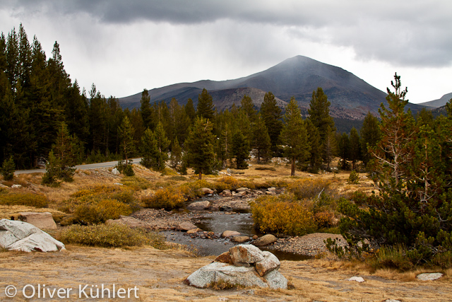 Entlang der Tioga Road