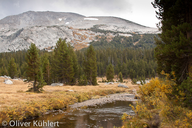 Entlang der Tioga Road