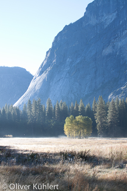 Ahwahnee Meadow