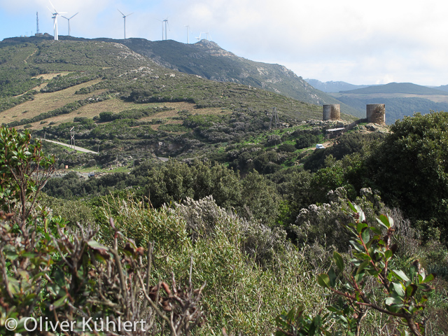 Ruinen alter Windmühlen