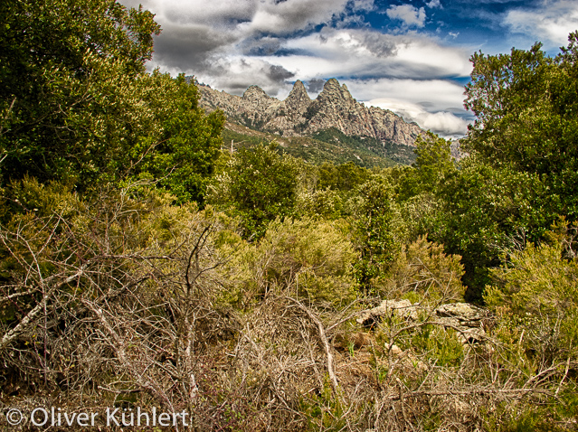 Die Eselsohren im Alta Rocca Gebirge