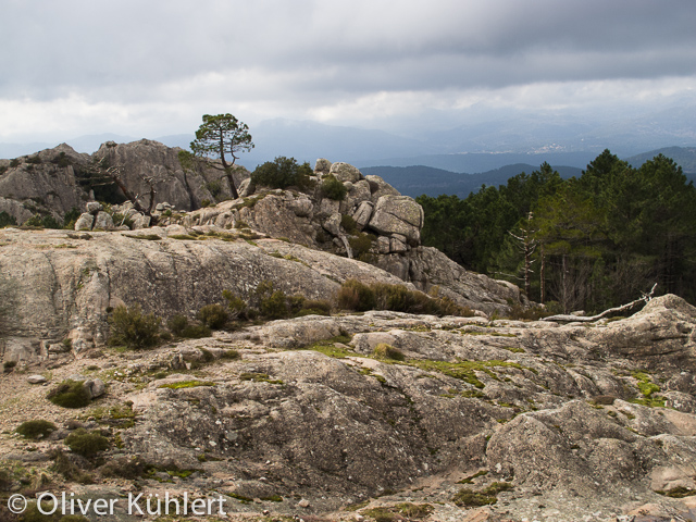Im Alta Rocca Gebirge